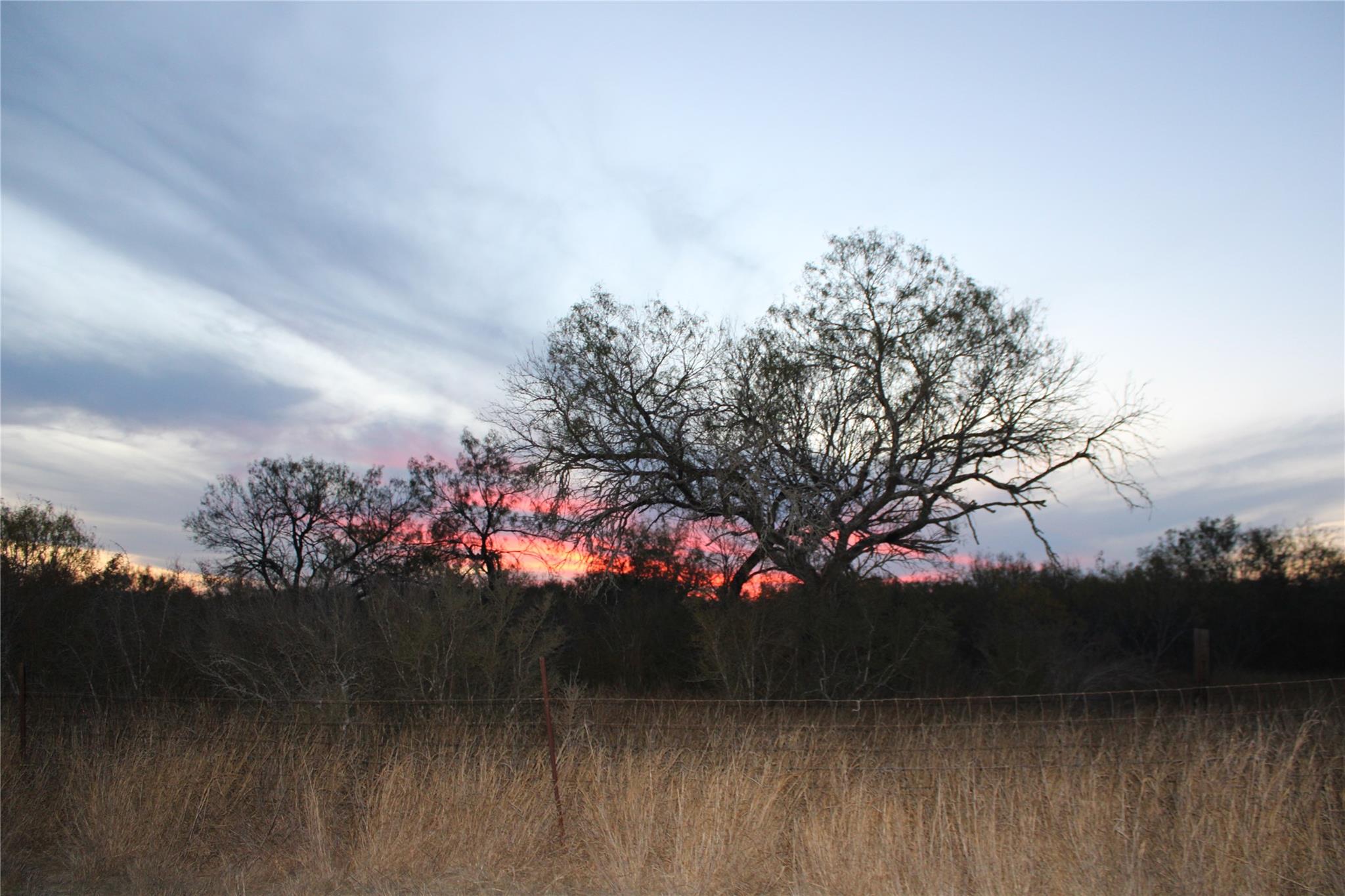 0000 Cr 339 Jourdanton TX 78026
