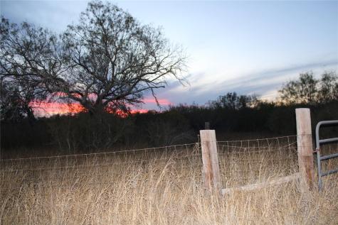 0000 Cr 339 Jourdanton TX 78026