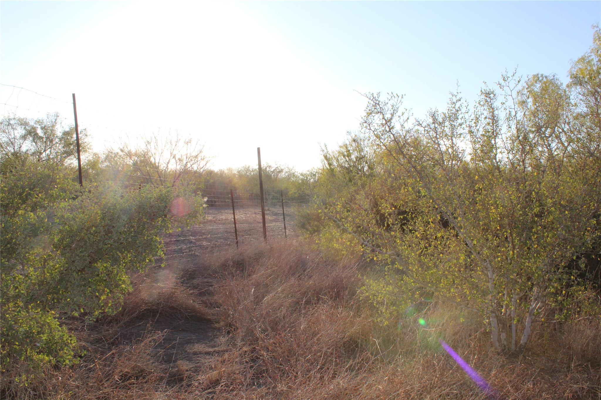 0000 Cr 339 Jourdanton TX 78026