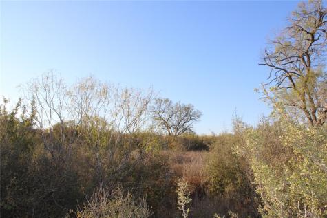 0000 Cr 339 Jourdanton TX 78026