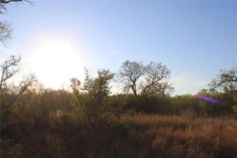 0000 Cr 339 Jourdanton TX 78026