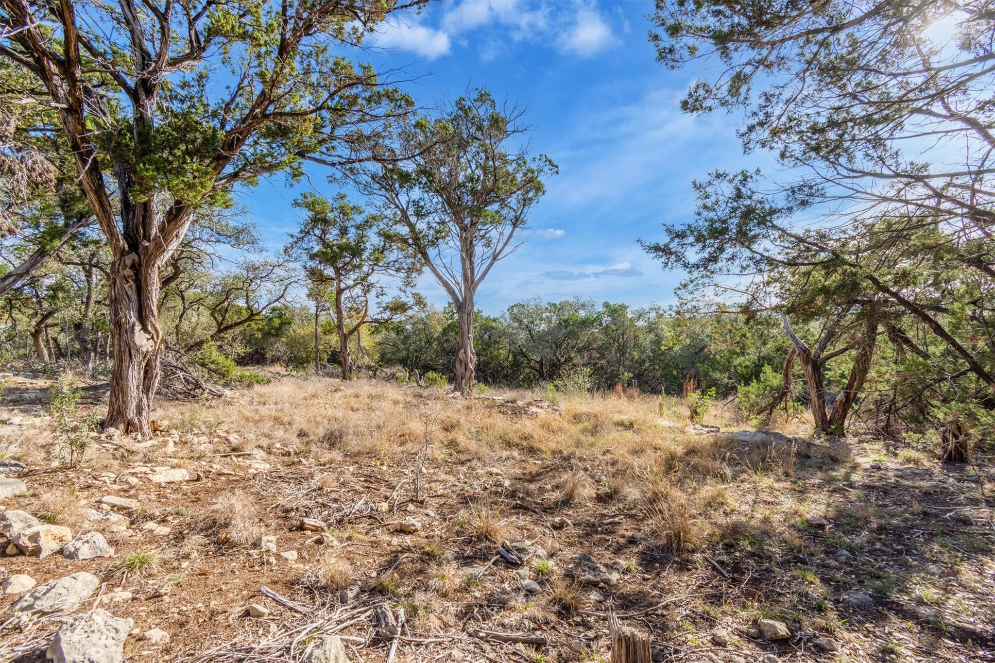 196 Lakewood Court Canyon Lake TX 78133