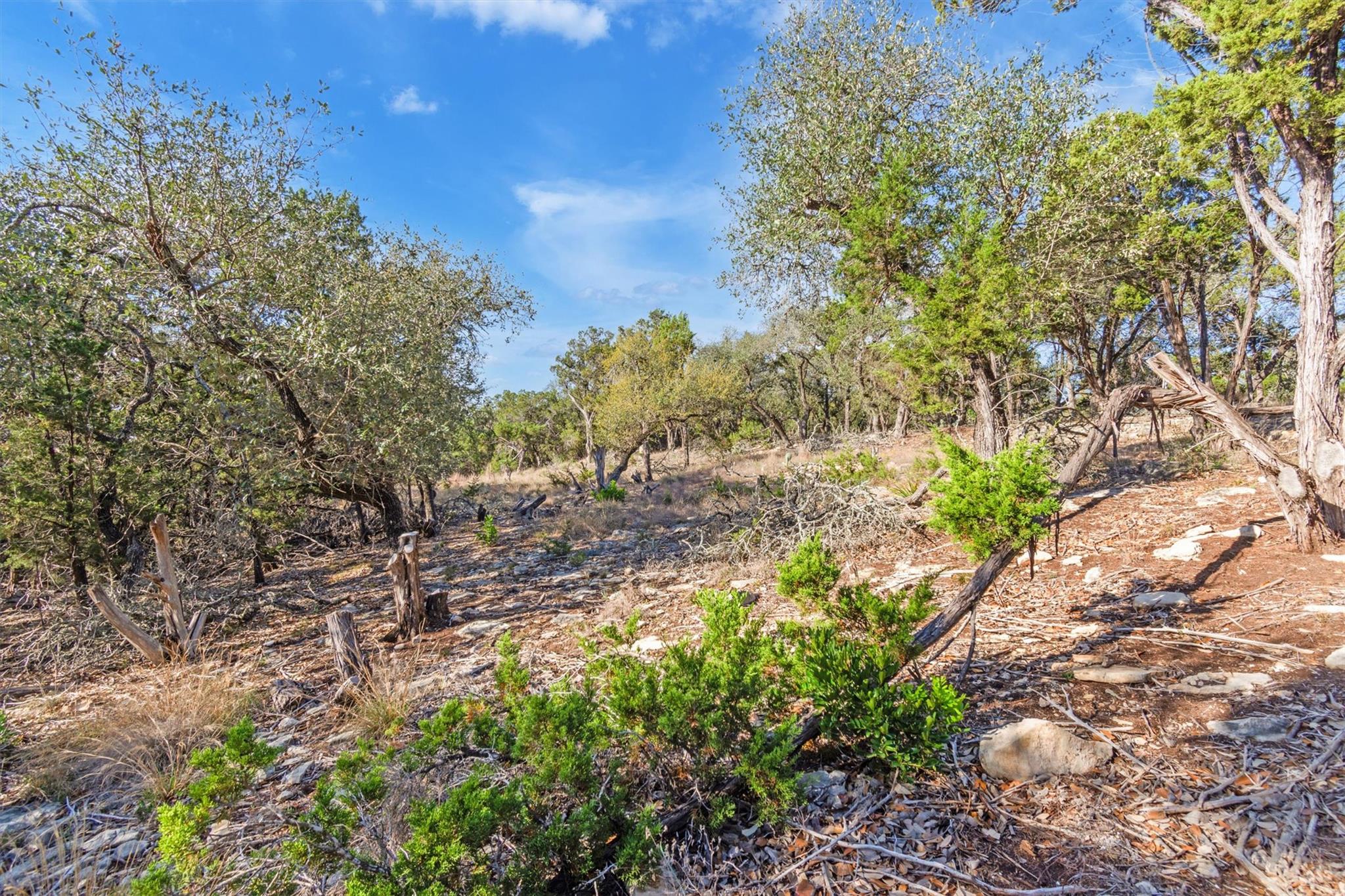 196 Lakewood Court Canyon Lake TX 78133