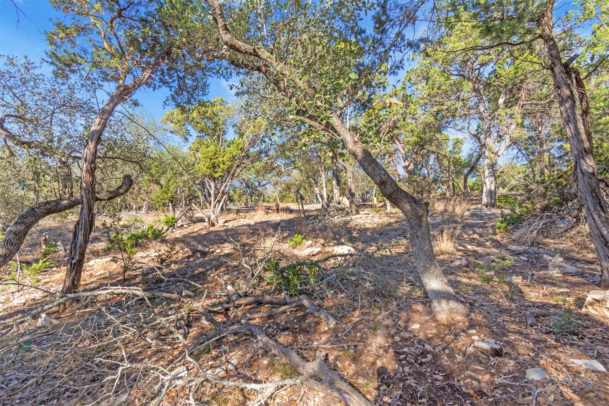 196 Lakewood Court Canyon Lake TX 78133