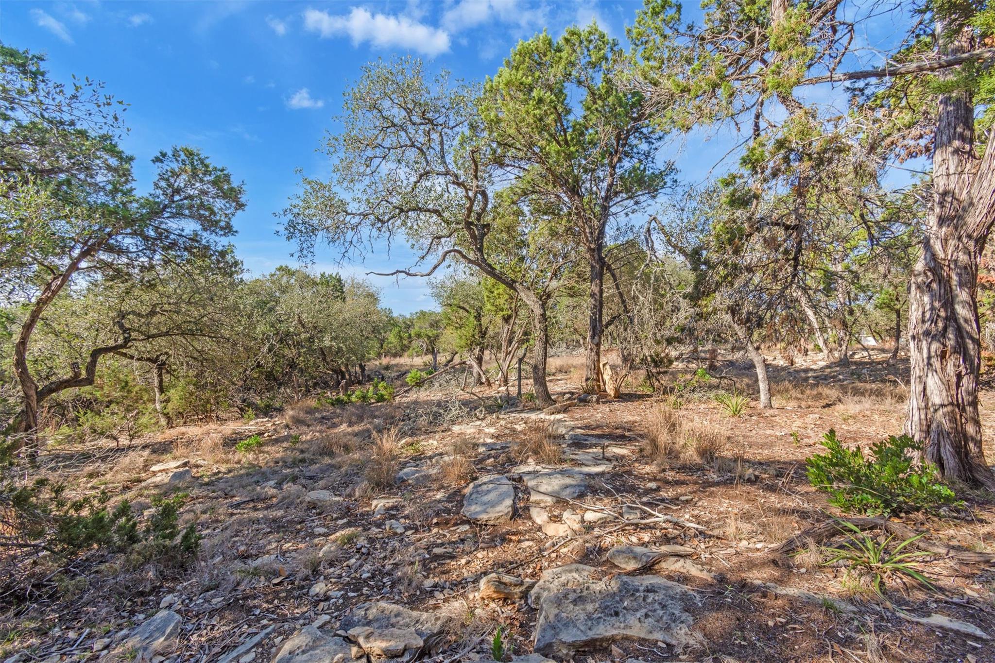196 Lakewood Court Canyon Lake TX 78133