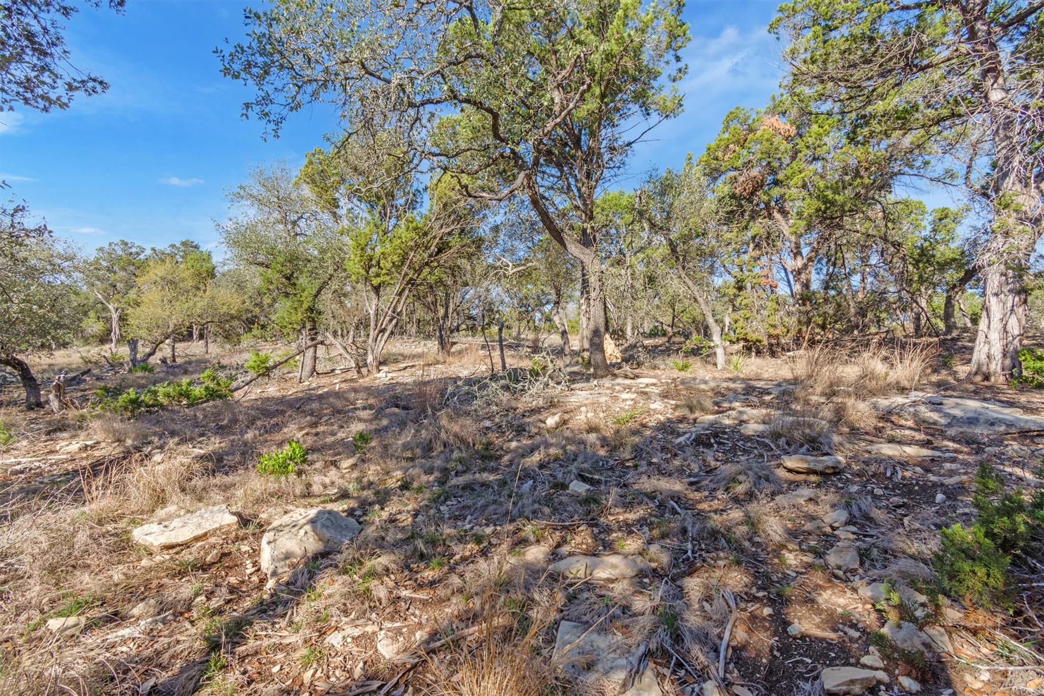 196 Lakewood Court Canyon Lake TX 78133