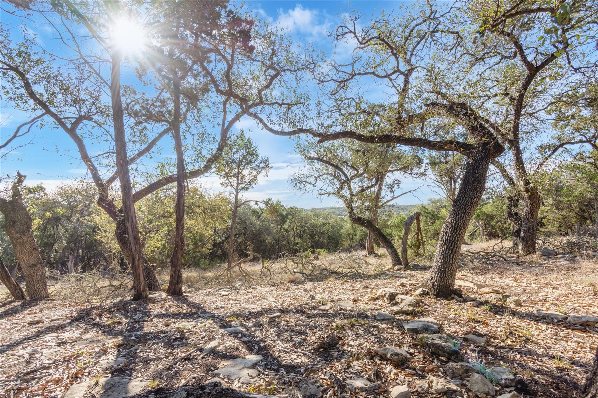 196 Lakewood Court Canyon Lake TX 78133