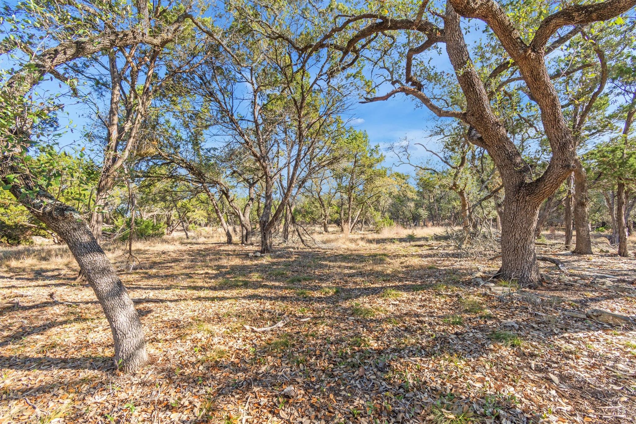 196 Lakewood Court Canyon Lake TX 78133