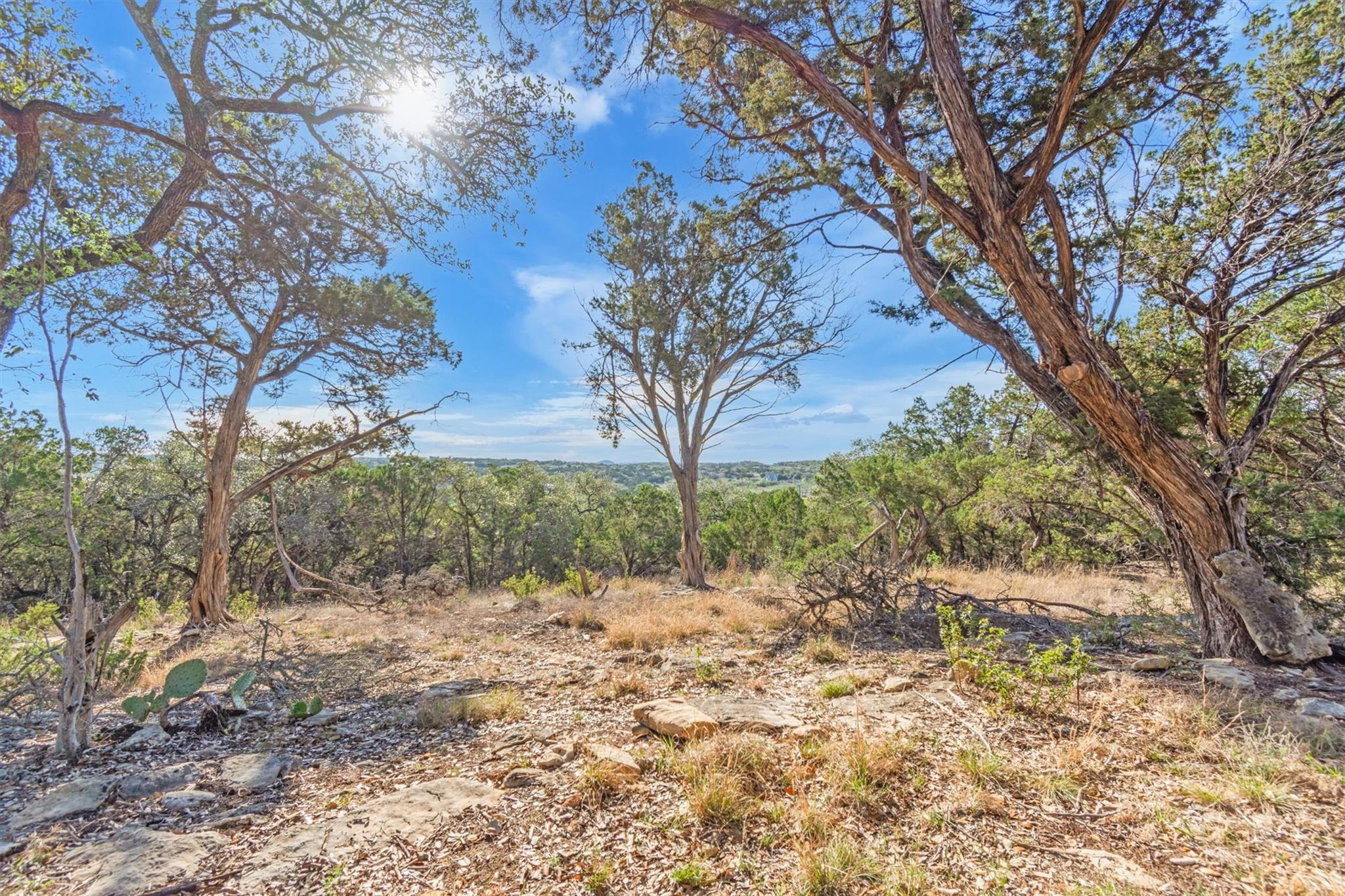 196 Lakewood Court Canyon Lake TX 78133