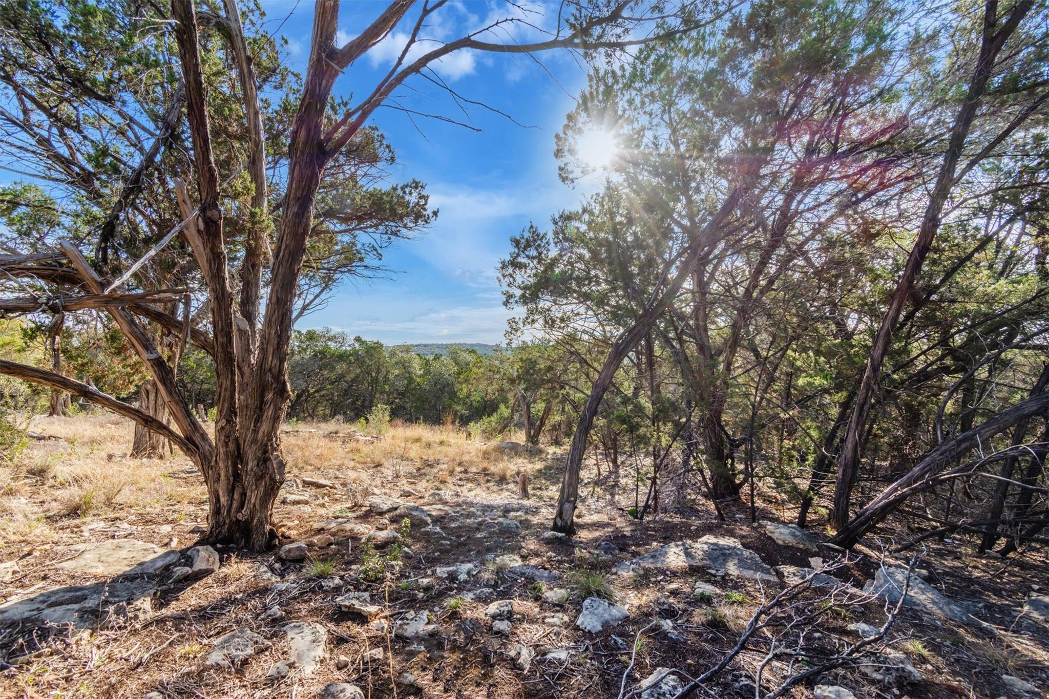 196 Lakewood Court Canyon Lake TX 78133