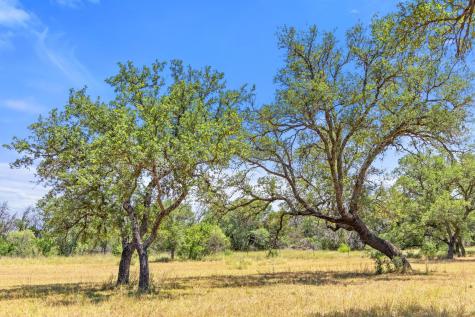 Lot 17 Stonegate Court Johnson City TX 78636