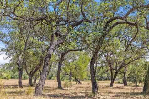 Lot 17 Stonegate Court Johnson City TX 78636