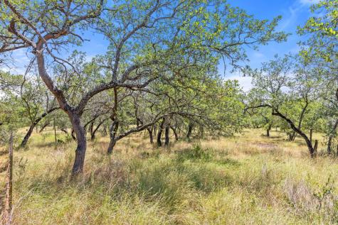 Lot 17 Stonegate Court Johnson City TX 78636