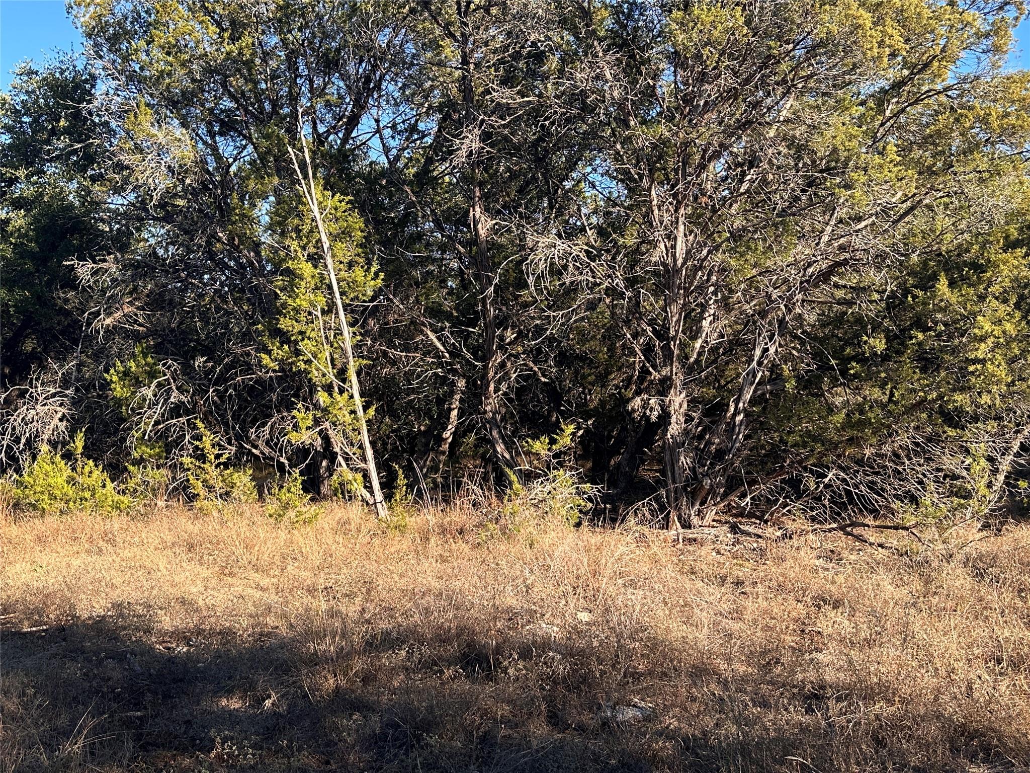39 Persimmon Drive Wimberley TX 78676