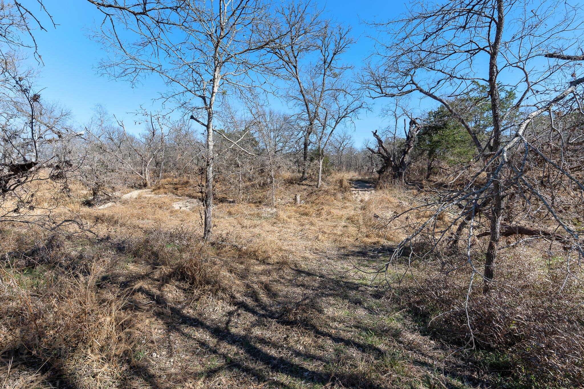 145 River Road Liberty Hill TX 78642
