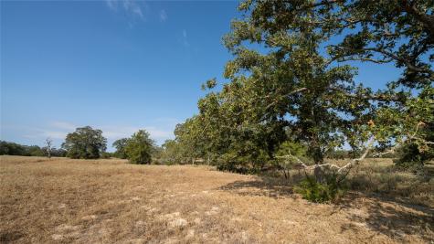 Tbd Tract 8 Cedar Rock Road Rosanky TX 78953