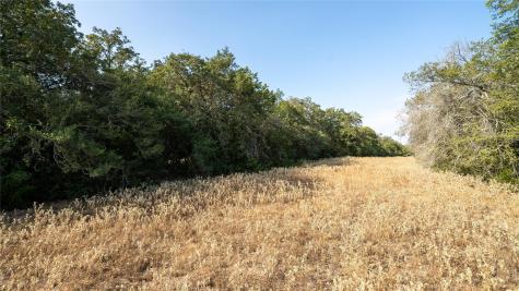 Tbd Tract 8 Cedar Rock Road Rosanky TX 78953