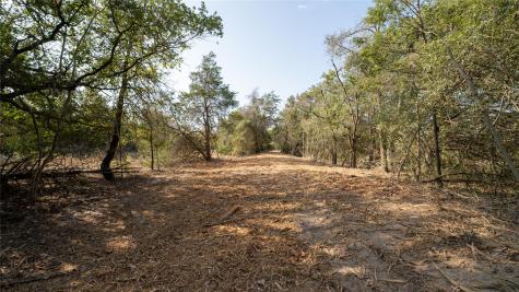Tbd Tract 8 Cedar Rock Road Rosanky TX 78953