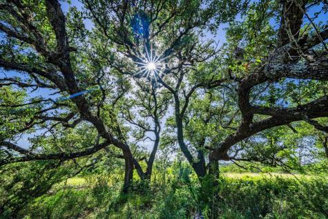 613 Cattle Creek Road Johnson City TX 78636