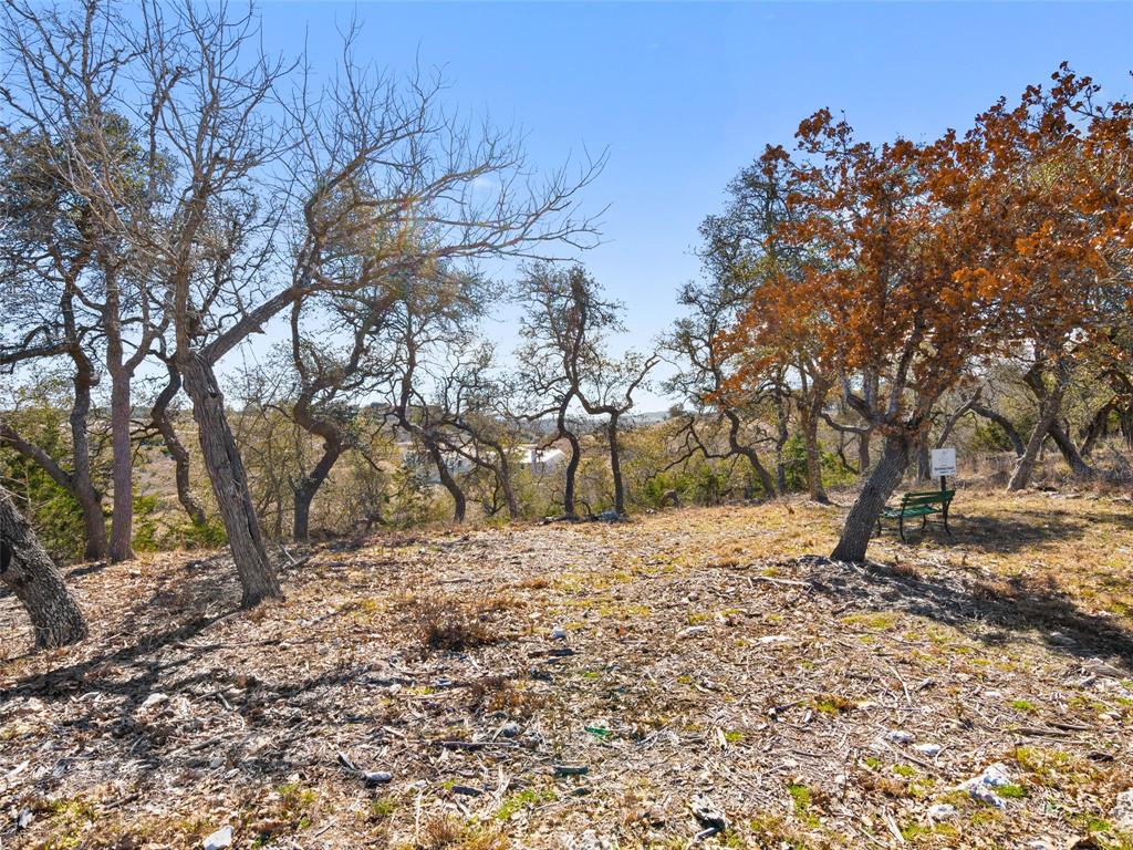 Lot 116 Majestic Hills Drive Blanco TX 78606