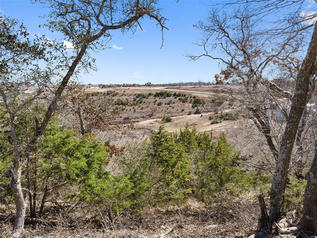 Lot 116 Majestic Hills Drive Blanco TX 78606