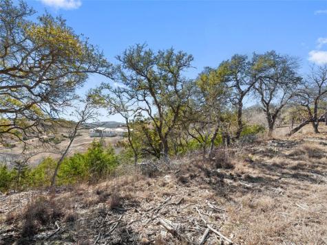 Lot 116 Majestic Hills Drive Blanco TX 78606