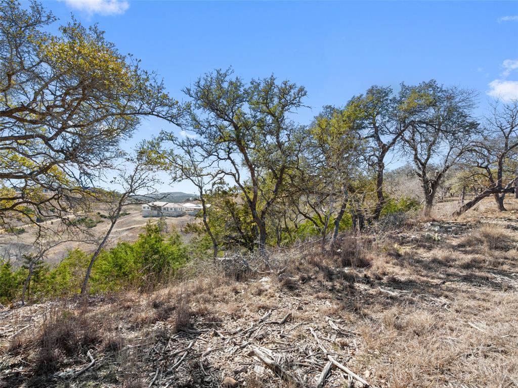 Lot 116 Majestic Hills Drive Blanco TX 78606