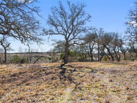 Lot 116 Majestic Hills Drive Blanco TX 78606