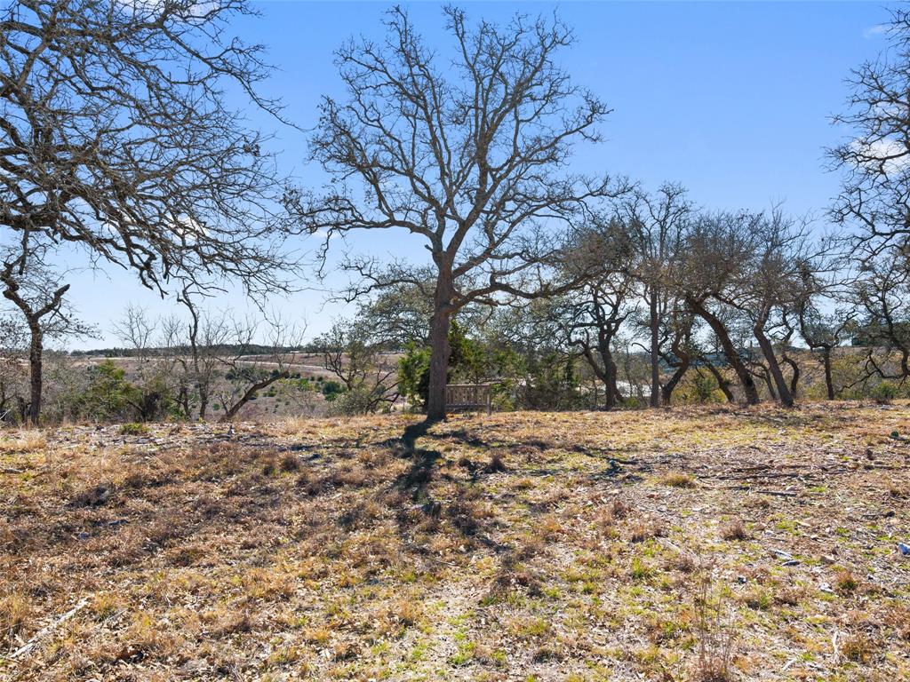 Lot 116 Majestic Hills Drive Blanco TX 78606