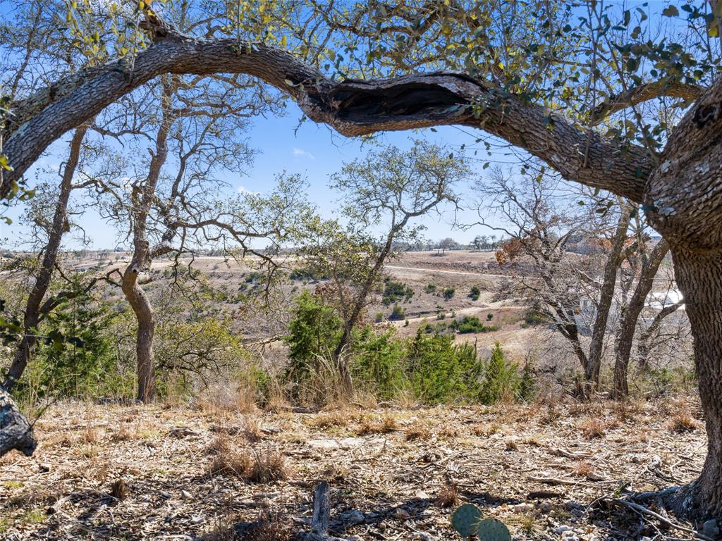 Lot 116 Majestic Hills Drive Blanco TX 78606