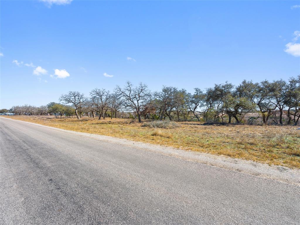 Lot 116 Majestic Hills Drive Blanco TX 78606