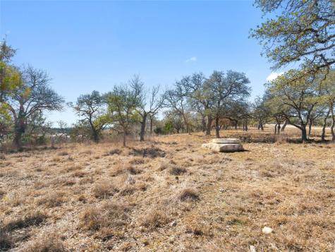 Lot 116 Majestic Hills Drive Blanco TX 78606