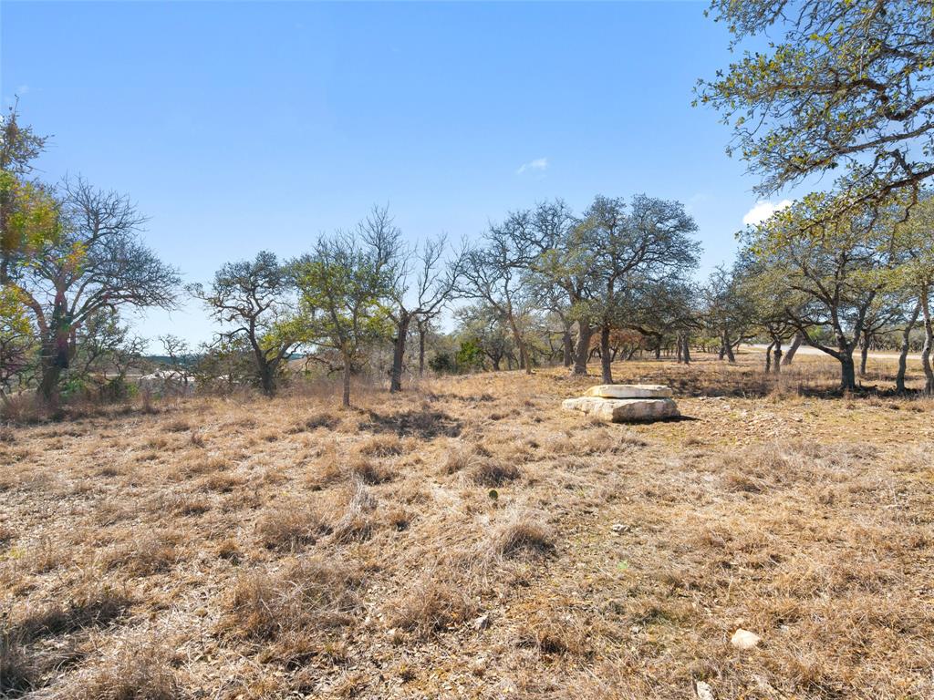 Lot 116 Majestic Hills Drive Blanco TX 78606