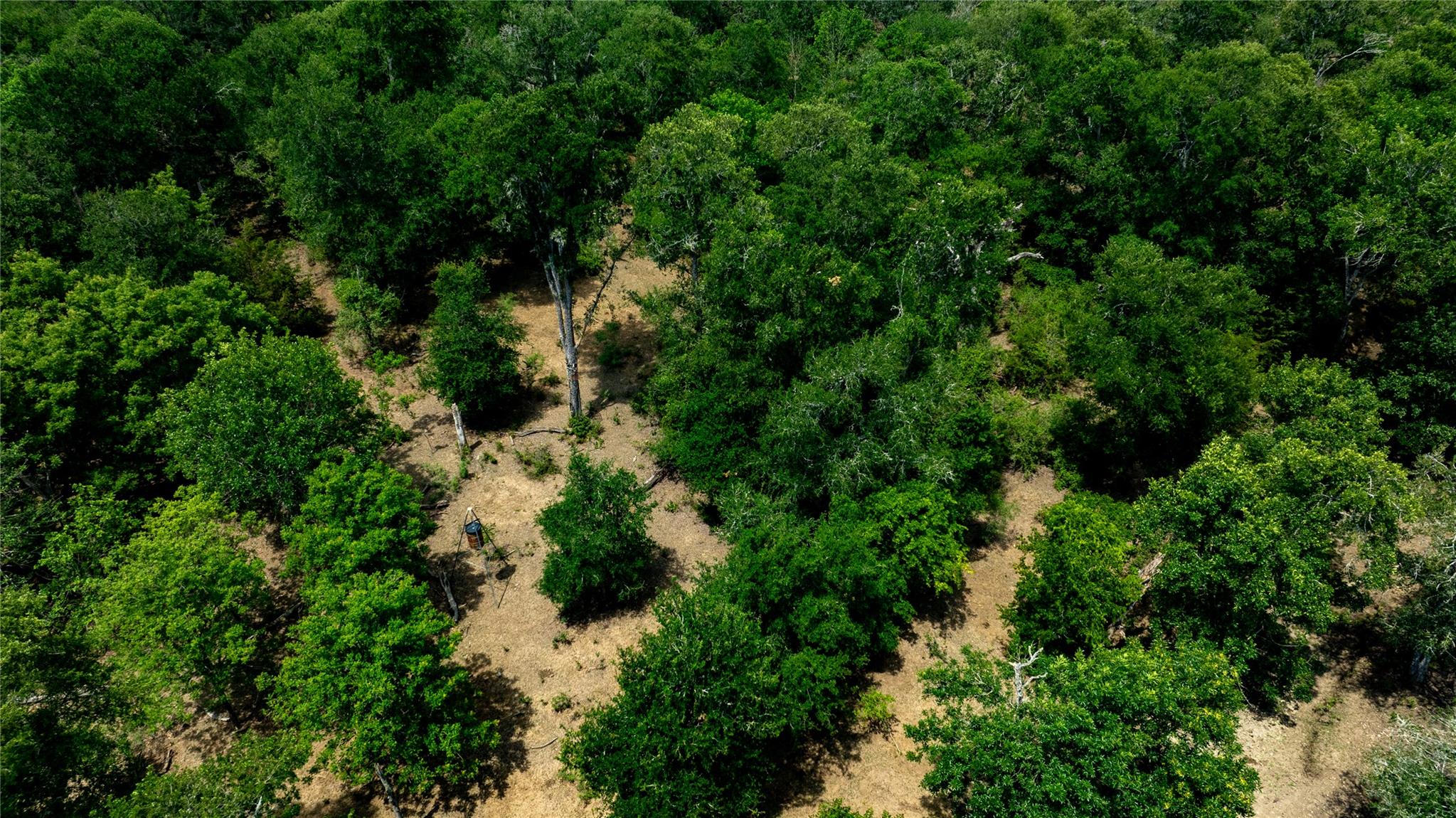 1400 Seminole Trail Dale TX 78616