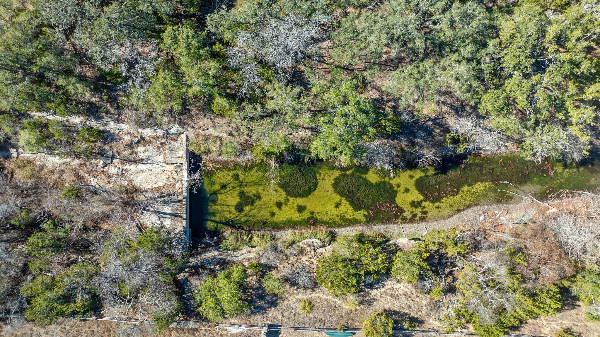 100 Dario Drive Dripping Springs TX 78620