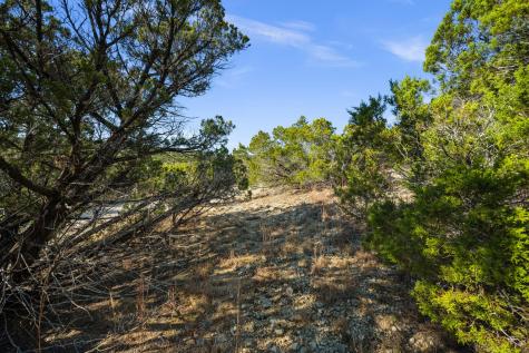 10678 Deer Canyon Road Jonestown TX 78645
