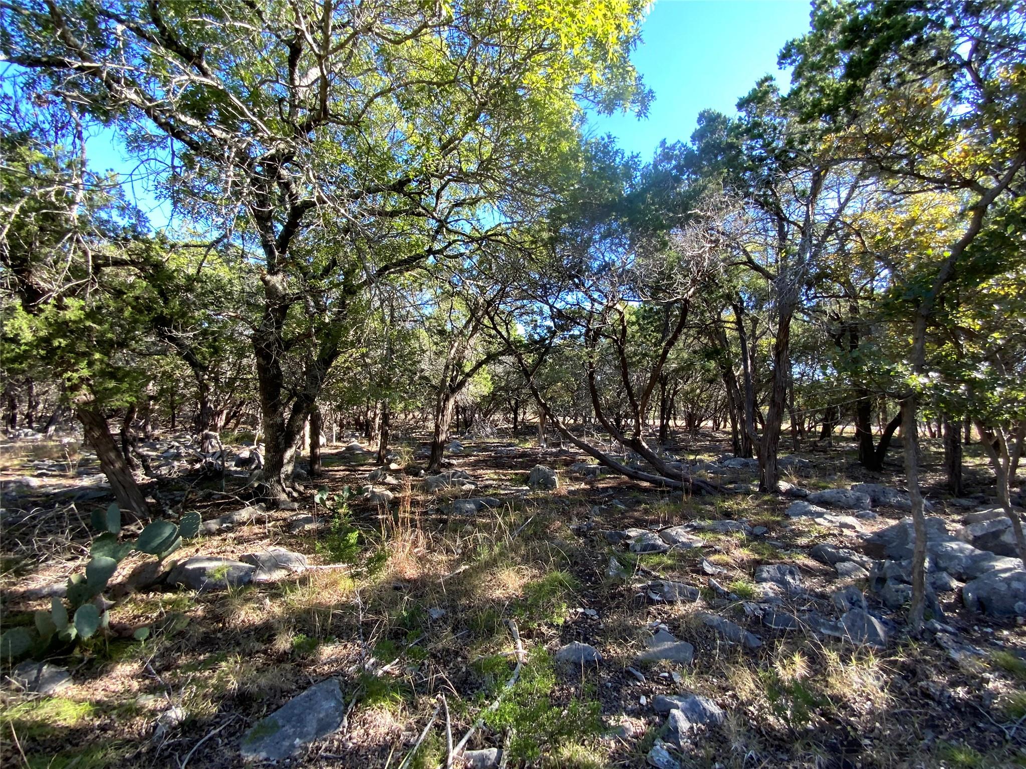 131 Concepcion Street S Kerrville TX 78028