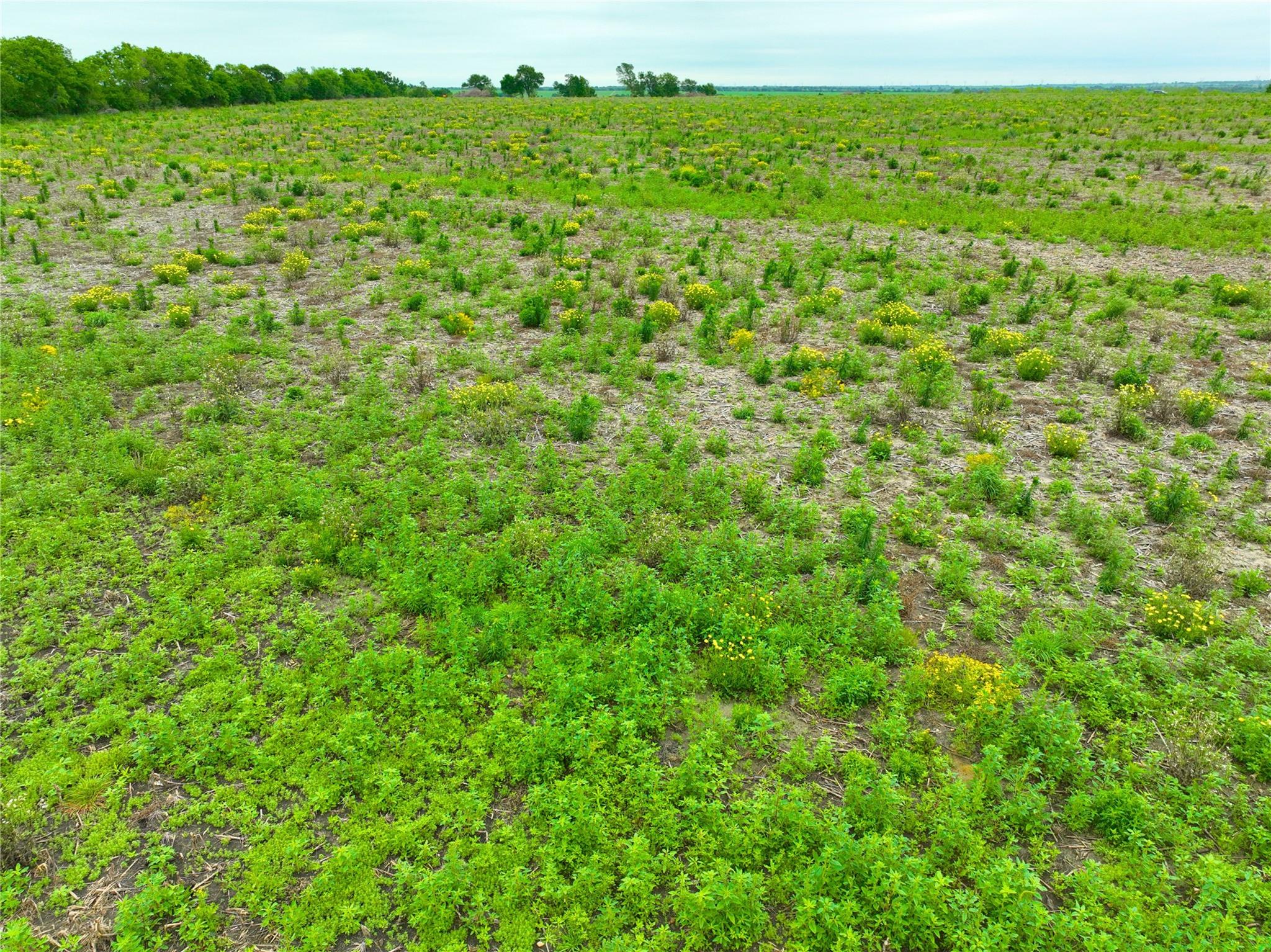 Tbd Lot 4, Blk 1 132 Road Burlington TX 76518