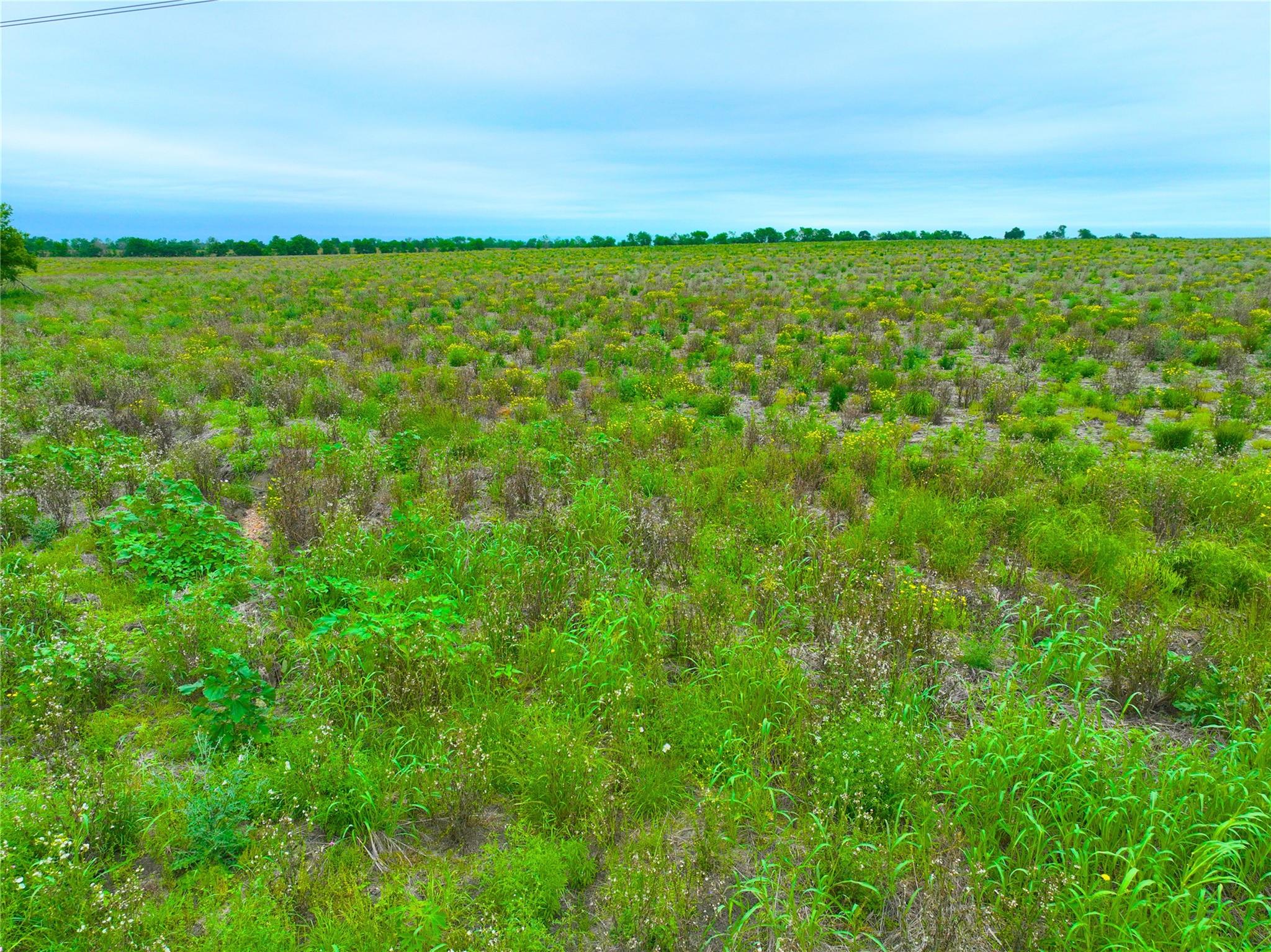 Tbd Lot 4, Blk 1 132 Road Burlington TX 76518