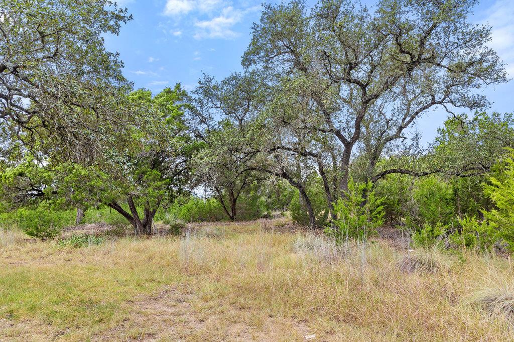 18305 Cedar Sage Court Lago Vista TX 78645
