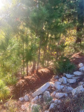Tbd Onini Court Bastrop TX 78602