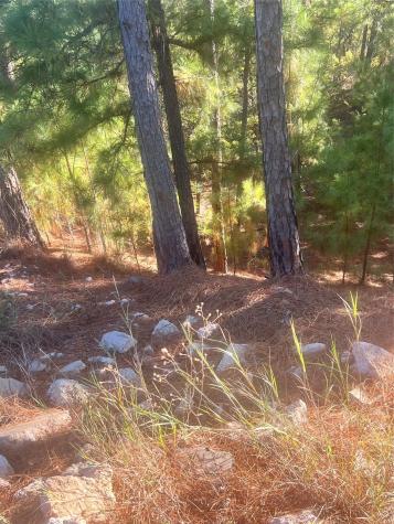Tbd Onini Court Bastrop TX 78602