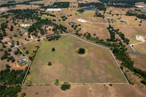 Tbd(+/- 28.63 Acres) Fm 166 Caldwell TX 77836