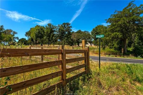 Tbd(+/- 28.63 Acres) Fm 166 Caldwell TX 77836