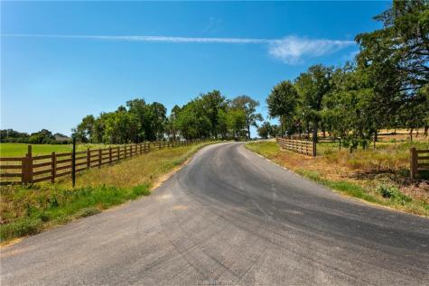 Tbd(+/- 28.63 Acres) Fm 166 Caldwell TX 77836