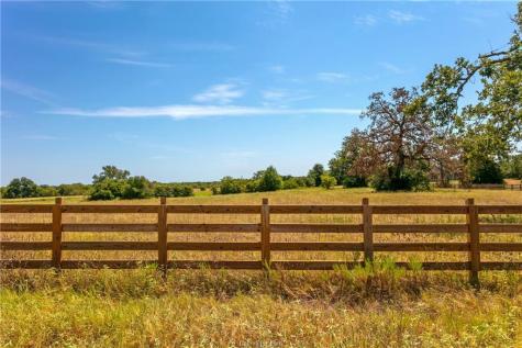 Tbd(+/- 28.63 Acres) Fm 166 Caldwell TX 77836