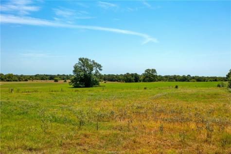 Tbd(+/- 28.63 Acres) Fm 166 Caldwell TX 77836