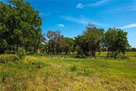 Tbd(+/- 28.63 Acres) Fm 166 Caldwell TX 77836