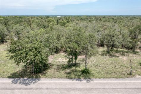 279 Earl Callahan Road Cedar Creek TX 78612