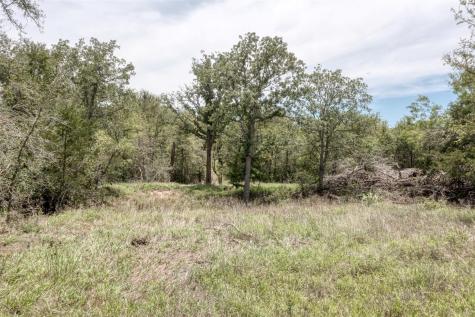 279 Earl Callahan Road Cedar Creek TX 78612